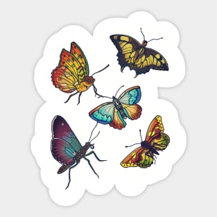 Butterflies and Moths Sticker